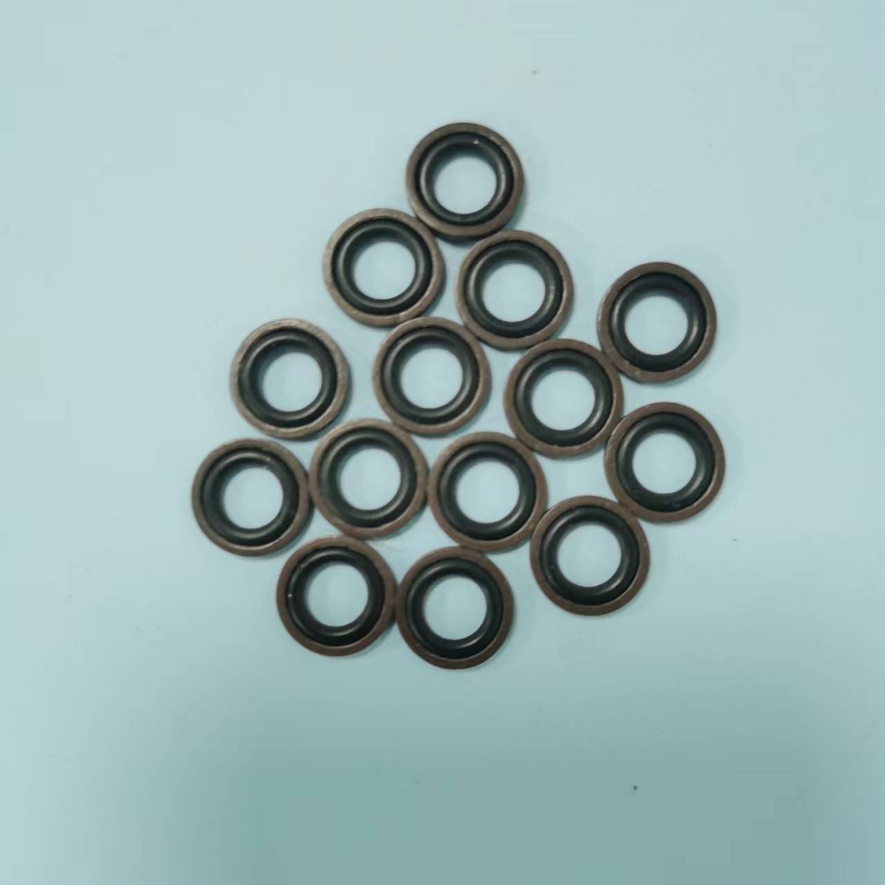 Glyd Ring  12×10×1.8