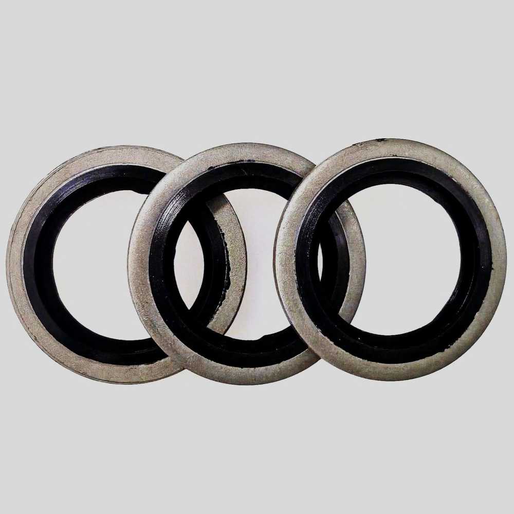 Stainless Steel Self-Centering Bonded Seal EPDM+SS316 G3(8)