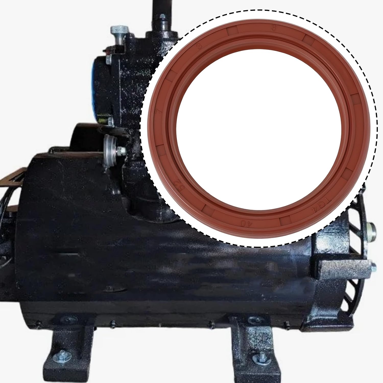 71uD3DdPEUL._SL1500_.jpg